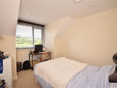 Picture 23
